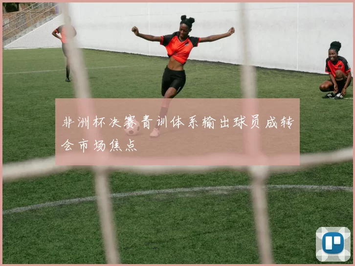 非洲杯决赛青训体系输出球员成转会市场焦点