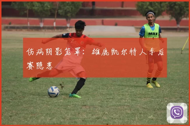 伤病阴影笼罩：雄鹿凯尔特人季后赛隐患