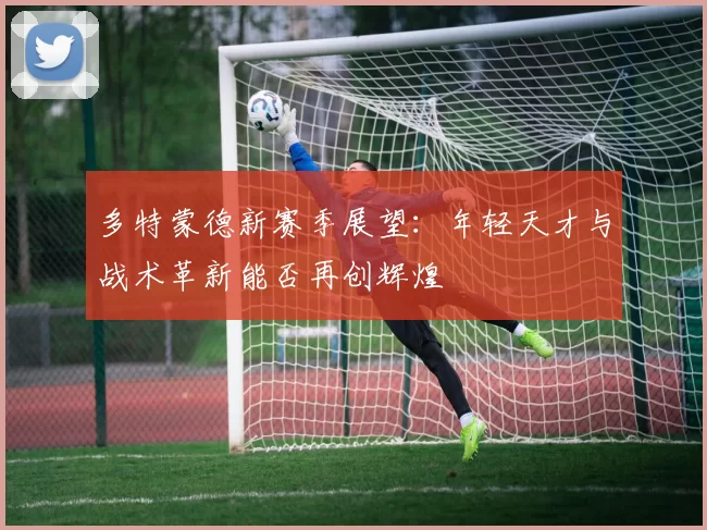 多特蒙德新赛季展望：年轻天才与战术革新能否再创辉煌