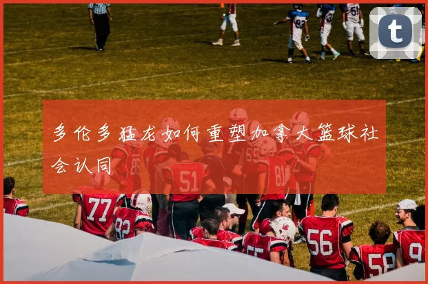 多伦多猛龙如何重塑加拿大篮球社会认同