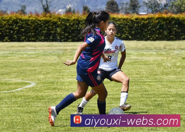 aiyouxi平台生态图